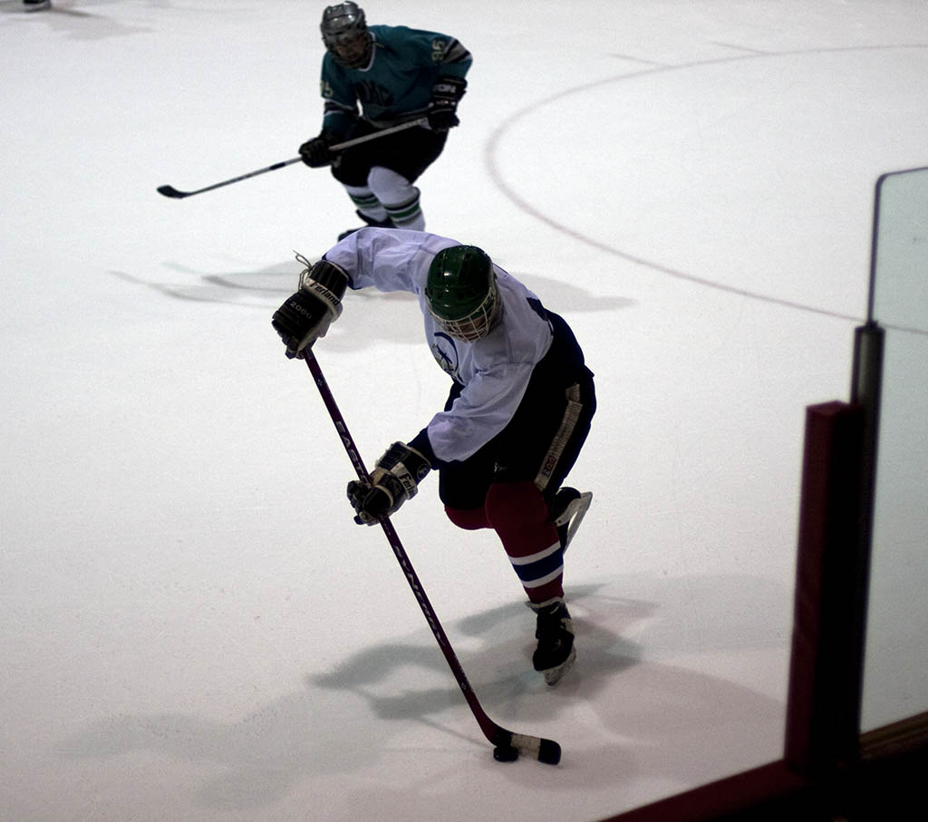 dgt_hockey (13)